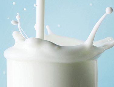 latte e derivati